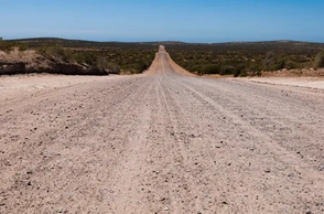 Грязная дорога во сне