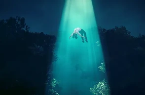 К чему снятся инопланетяне