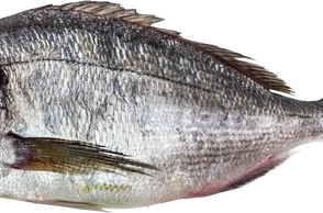 К чему снится лещ