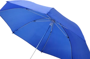 К чему снится зонт