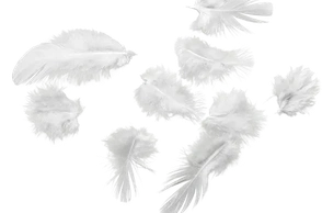 К чему снятся перья