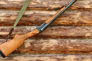 К чему снится винтовка