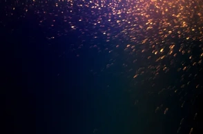 К чему снится магия