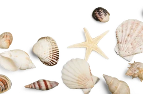 К чему снится панцирь