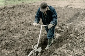 К чему снится пахарь