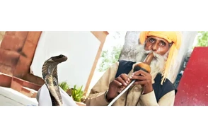 К чему снится заклинатель