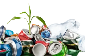 К чему снится мусор