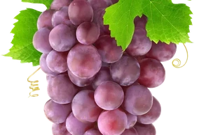 К чему снится виноград