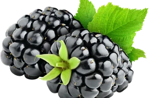 К чему снится ежевика