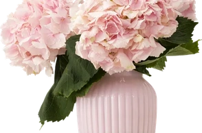 К чему снится ваза для цветов