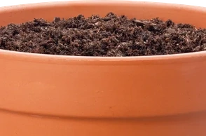 К чему снится горшок