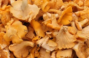 К чему снятся лисички